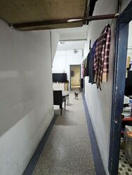 Lorong 24a Geylang (D14), Terrace #535183541